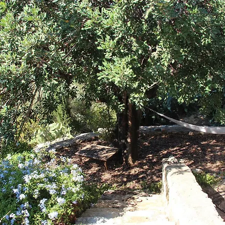 Nature Holiday * Ciftlikkoy (Aegean)